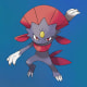 Weavile, an Ice-type Pokémon.